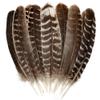 Natural Wild Turkey Feathers Wing 8-10inch (20-25cm) for Crafts DIY Home Wedding Party Halloween Decoration Feathers (20pcs) view 1