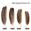 Natural Wild Turkey Feathers Wing 8-10inch (20-25cm) for Crafts DIY Home Wedding Party Halloween Decoration Feathers (20pcs) view 4