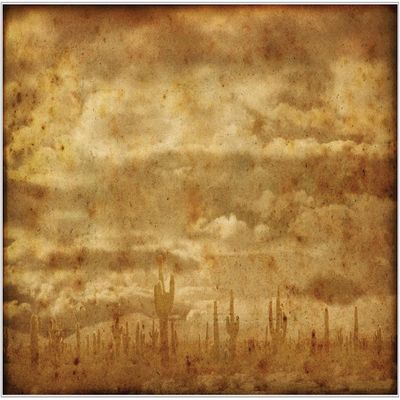 Dixie Belle Rice Decoupage Paper | Kalahari | Crafting Decoupage Paper for Wood, Plastic, Metal, Glass | Rice Design Transfer Paper for DIY