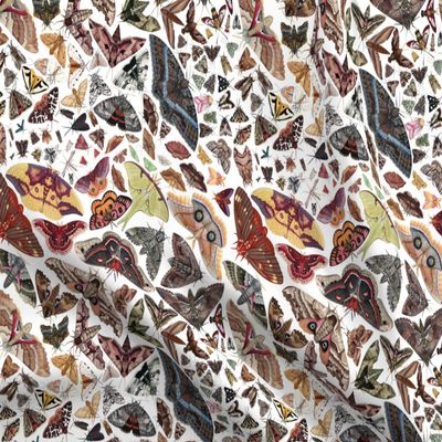 Spoonflower Fabric - Moths North America Moth Butterfly Bug Insect Science Entomology Printed on Polartec(R) Fleece Fabric Fat Quarter - Sewing Blankets Loungewear and No-Sew Projects