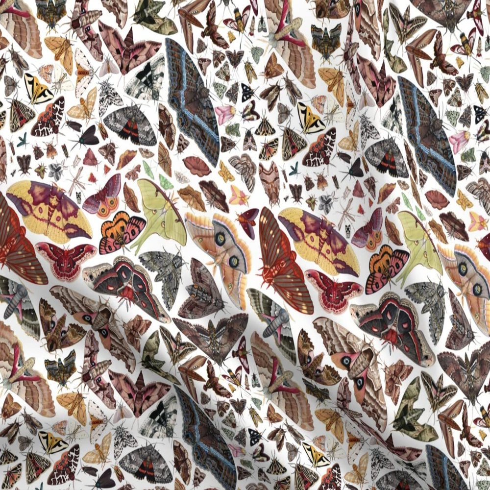 Spoonflower Fabric - Moths North America Moth Butterfly Bug Insect Science Entomology Printed on Polartec(R) Fleece Fabric Fat Quarter - Sewing Blankets Loungewear and No-Sew Projects