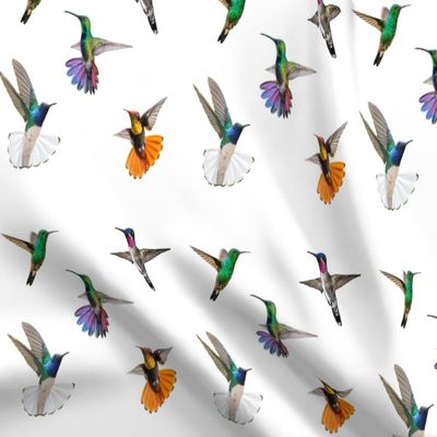 Spoonflower Fabric - Hummingbirds Large White Orange Teal Hummingbird Black Printed on Polartec(R) Fleece Fabric Fat Quarter - Sewing Blankets Loungewear and No-Sew Projects