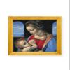 Awesome Pattern Studio Madonna Litta by Leonardo da Vinci DS2287, Diamond Painting Kit, Diamond Art Kits for Adults, Full Drill 5D Diamond Dots Kits. All Items Included. view 1