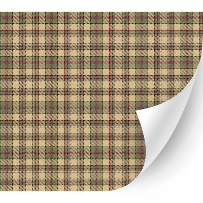 HTV4U Plaid & Checker Box Patterned Adhesive Vinyl (Beige Olive Tartan, 13.5" x 1YD) - Glossy Die Cutter Machine, Glass Window Home Decor, Car Decal