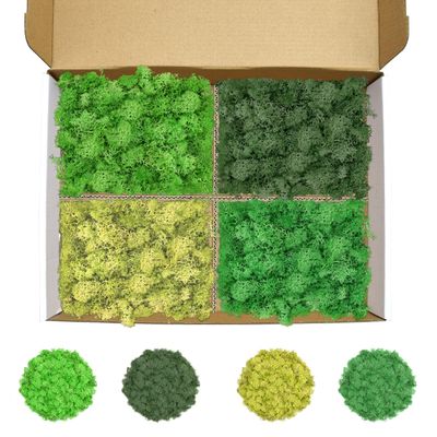 TCYPUHL Preserved Reindeer Moss Set, 14 oz, Green, Dark Green, Yellow Green and Emerald Green Craft Moss for Potted Plants, Fairy Gardens, DIY Wall Art, Floral Arrangements and Holiday Table Decor