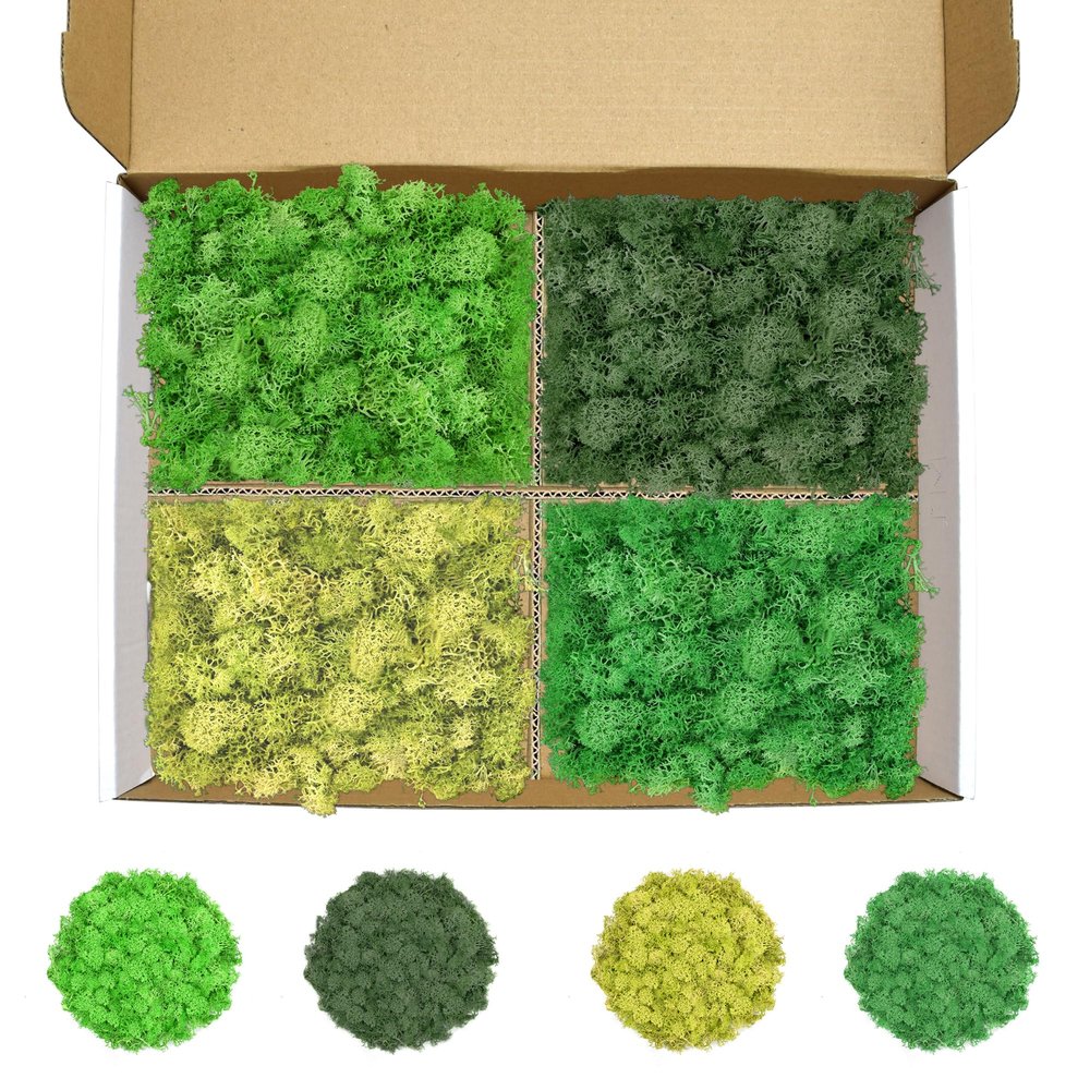 TCYPUHL Preserved Reindeer Moss Set, 14 oz, Green, Dark Green, Yellow Green and Emerald Green Craft Moss for Potted Plants, Fairy Gardens, DIY Wall Art, Floral Arrangements and Holiday Table Decor