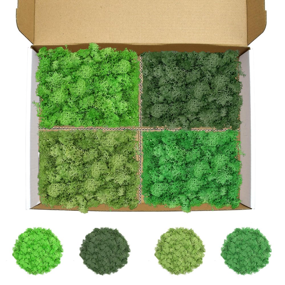 TCYPUHL Preserved Reindeer Moss Set, 14 oz, Green, Dark Green, Chartreuse and Emerald Green Craft Moss for Potted Plants, Fairy Gardens, DIY Wall Art, Floral Arrangements and Holiday Table Decor
