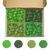 TCYPUHL Preserved Reindeer Moss Set, 14 oz, Green, Dark Green, Chartreuse and Emerald Green Craft Moss for Potted Plants, Fairy Gardens, DIY Wall Art, Floral Arrangements and Holiday Table Decor view 1