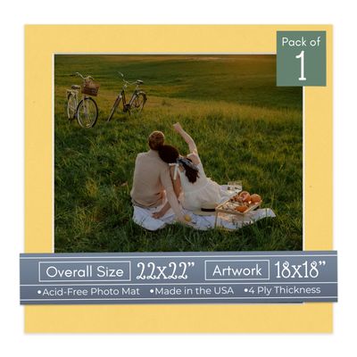 Chamois Yellow Acid Free 22x22 Square Picture Frame Mat with White Core Bevel Cut for 18x18 Pictures - Fits 22x22 Frame - Pack of 1 Matboard Show Kit With Acid Free Backing & Clear Bag
