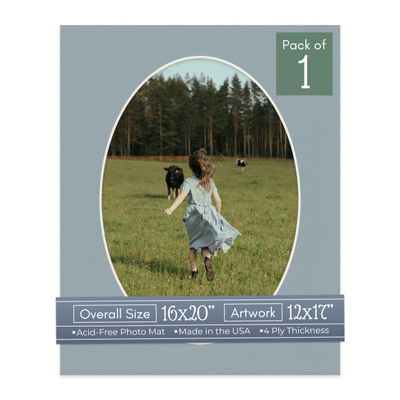 CountryArtHouse Metallic Silver Acid Free 16x20 Oval Picture Frame Mat with White Core Bevel Cut for 12x17 Pictures - Fits 16x20 Frame - Pack of 1 Matboard Show Kit with Acid Free Backing & Clear Bag