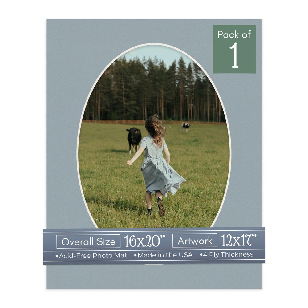 CountryArtHouse Metallic Silver Acid Free 16x20 Oval Picture Frame Mat with White Core Bevel Cut for 12x17 Pictures - Fits 16x20 Frame - Pack of 1 Matboard Show Kit with Acid Free Backing & Clear Bag
