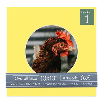 CountryArtHouse Yellow Acid Free 10x10 Circle Picture Frame Mat with White Core Bevel Cut for 6x6 Pictures - Fits 10x10 Frame - Pack of 1 Matboard Show Kit with Acid Free Backing & Clear Bag