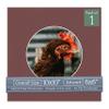 CountryArtHouse Maroon Acid Free 10x10 Circle Picture Frame Mat with White Core Bevel Cut for 6x6 Pictures - Fits 10x10 Frame - Pack of 1 Matboard Show Kit with Acid Free Backing & Clear Bag view 1