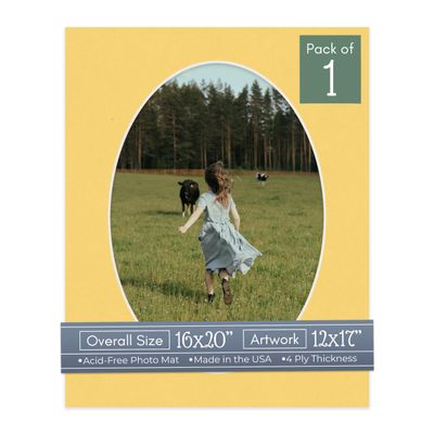 CountryArtHouse Chamois Yellow Acid Free 16x20 Oval Picture Frame Mat with White Core Bevel Cut for 12x17 Pictures - Fits 16x20 Frame - Pack of 1 Matboard Show Kit with Acid Free Backing & Clear Bag