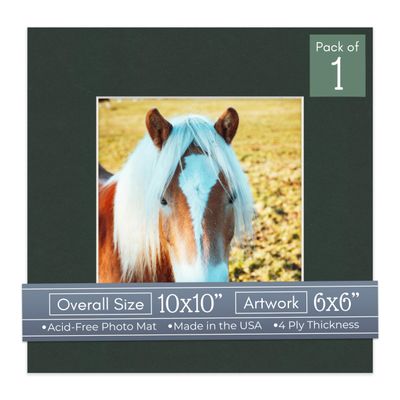 CountryArtHouse Black Acid Free 10x10 Square Picture Frame Mat with White Core Bevel Cut for 6x6 Pictures - Fits 10x10 Frame - Pack of 1 Matboard Show Kit with Acid Free Backing & Clear Bag
