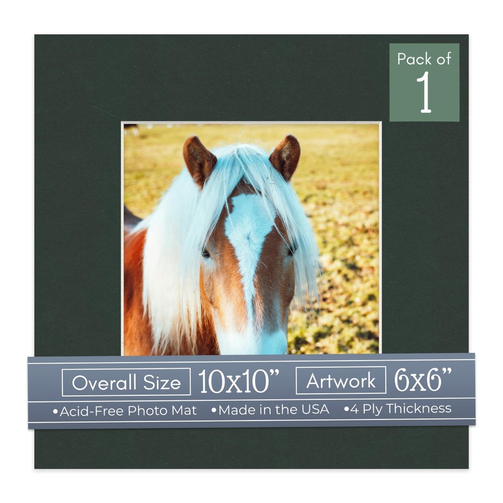 CountryArtHouse Black Acid Free 10x10 Square Picture Frame Mat with White Core Bevel Cut for 6x6 Pictures - Fits 10x10 Frame - Pack of 1 Matboard Show Kit with Acid Free Backing & Clear Bag