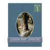 CountryArtHouse Steel Blue Acid Free 8.5x11 Oval Picture Frame Mat with White Core Bevel Cut for 5x7 Pictures - Fits 8.5x11 Frame - Pack of 1 Matboard Show Kit with Acid Free Backing & Clear Bag view 1