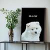 Awesometik Fun Colorful Dog Cat Portrait Gift For Pet Owners Custom Dog Paintings Pet Remembrance Custom Dog Drawing Gift Custom Portrait From Photo view 2