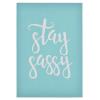 MANGOUSONG Screen Printing Kit,21x15cm Stay Sassy Silk Screen Stencils Reusable Silkscreen Print Kit for Printing Handbag Decoration Template Seal Tool view 1