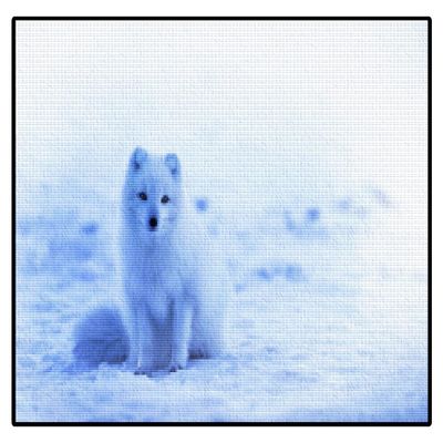 White Fox Animal Cross Stitch Kits for Adults Beginners Pre-Printed Pattern 11CT DIY Embroidery Easy Needlepoint Kits Personalized Gifts for Home Decor 16x20inch