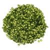 MECCANIXITY Loose Sequins 4MM Silver Backed Sequins 3000Pcs Cup Sequins Embroidery Sequins for Jewelry Making Crafts Sewing,Light Green view 1