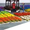 Woohome WoohomeArtificial Grass Clusters Simulation Flower Cluster Decoration Flower Cluster Vegetation Groups Mini Plant Tuft Railway Model Cluste for DIY Model Train Landscape Railroad Scenery view 2