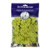 SuperMoss (23130) Reindeer Moss Soft Preserved Moss for Home Decor, Crafts, Terrariums, Floral Design, and Wedding Decorations, 120 cu in, Apple view 1