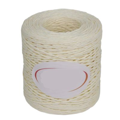 100g/Ball Raffia Yarn Kintting Paper Straw Yarn for Crocheting Hat Fancy Yarn Flower Packing Summer Fashion Handmade Material (Color : Milk White)