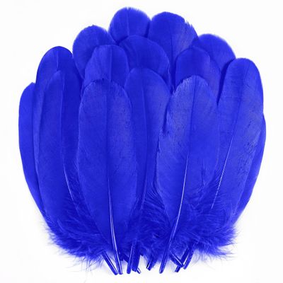 Holmgren Royal Blue Goose Feathers - 200pcs 5-7inch Natural Goose Feather Bulk for Crafts DIY Cosplay Wings Wedding Party Halloween Decoration (Royal Blue)