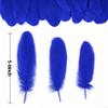 Holmgren Royal Blue Goose Feathers - 200pcs 5-7inch Natural Goose Feather Bulk for Crafts DIY Cosplay Wings Wedding Party Halloween Decoration (Royal Blue) view 3