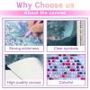 Directo Diamond Painting Kits for Adults,The River and The Full Moon 5D DIY Diamond Art Kits Full Drill Diamond for Gift Wall Decor Gem Arts Beautiful Moon 16 * 20inch view 4