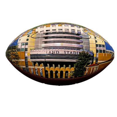 ROSLILY Custom Stadium Football 12" Personalized College Field Football University Series for Football Fans, Game Day, Christmas, Graduation Souvenirs