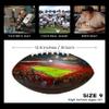 ROSLILY Custom Stadium Football 12" Personalized College Field Football University Series for Football Fans, Game Day, Christmas, Graduation Souvenirs view 2