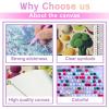 Directo Diamond Painting Kits for Adults,Fruit Collection 5D DIY Diamond Art Kits Full Drill Diamond for Gift Wall Decor Gem Arts Wonderful Food 16 * 20inch view 4