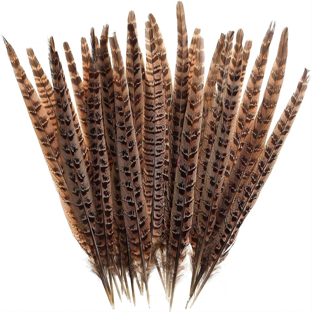 50 Pieces of Wild Chicken Tail Natural Feathers, 6-8 inch Wild Chicken Tail Hair, Used for DIY Earrings, mask Dances, Wedding Decorations