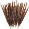 50 Pieces of Wild Chicken Tail Natural Feathers, 6-8 inch Wild Chicken Tail Hair, Used for DIY Earrings, mask Dances, Wedding Decorations view 1