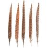 50 Pieces of Wild Chicken Tail Natural Feathers, 6-8 inch Wild Chicken Tail Hair, Used for DIY Earrings, mask Dances, Wedding Decorations view 2