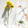 Vials for Flower Arrangements 2.8 Inch Floral Water Tubes Plastic Floral Vials with Caps (Clear, 30 Pack) view 4