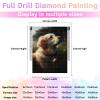Directo 5D DIY Diamond Painting Kits Full Drill,Diamond Painting Kits Art,Animal Diamond Art, Lovely Golden Retriever Diamond Painting Craft for Home Office Wall Decor 12x16 inch, CJX-1 view 3