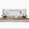 Broadway Limited 7259 H32 Covered Hopper, C&O, Variety 2-Pack, N Scale (Fantasy Paint Scheme) view 4