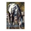 Gabbana Black White Horse Diamond Painting Kits for Adults, Full Round Diamond Art Kits 5D Horse Diamond Art, Personalized Gifts for Family and Friends Room Wall Decor 20x30 Inch view 1