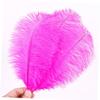 SHINEOFI 60pcs Natural Ostrich Rosy for Wedding Party Crafts and Home Decorations view 2