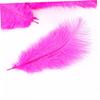 SHINEOFI 60pcs Natural Ostrich Rosy for Wedding Party Crafts and Home Decorations view 3