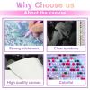 Directo Diamond Painting Kits for Adults,Ominous Scary Flying Monster 5D DIY Diamond Art Kits Full Drill Diamond for Gift Wall Decor Gem Arts Fantastic Animals 8 * 12inch view 4