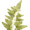CC Home Furnishings Fern Leaf Artificial Stem Spray - 36" - Green view 4