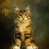 Pretty Kitty Fabric Panel - ADP-008, Panel Size is 17 X 18, Quality Quilting Cotton view 1