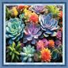 Dimxvean Stamped Cross Stitch Kits,Cross Stitch Kits for Adults Beginners,Embroidery Kits Full Range of Cross Stitch Stamped Kits Needlepoint Kits Cross Stitch Patterns-Succulent Plants 16x20 inch view 1