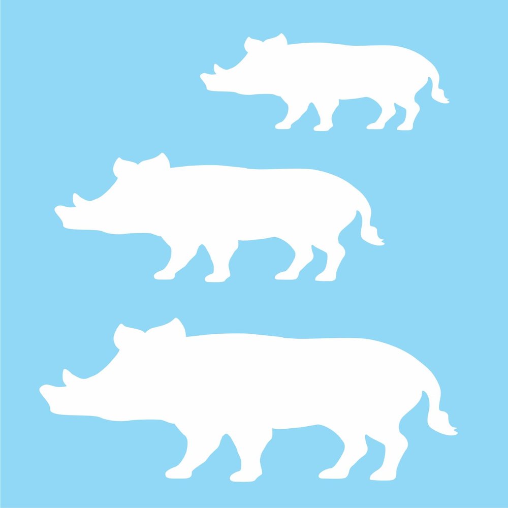 Stencils by Joanie Warthog Wild Boar Pig Animal Shape + Free Template DIY Signs