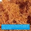 PATIKIL 1.8 OZ Fake Moss, Preserved Reindeer Moss Artificial Moss Lichen Centerpieces Decor Faux Moss for Potted Plants Christmas Craft, Orange view 4