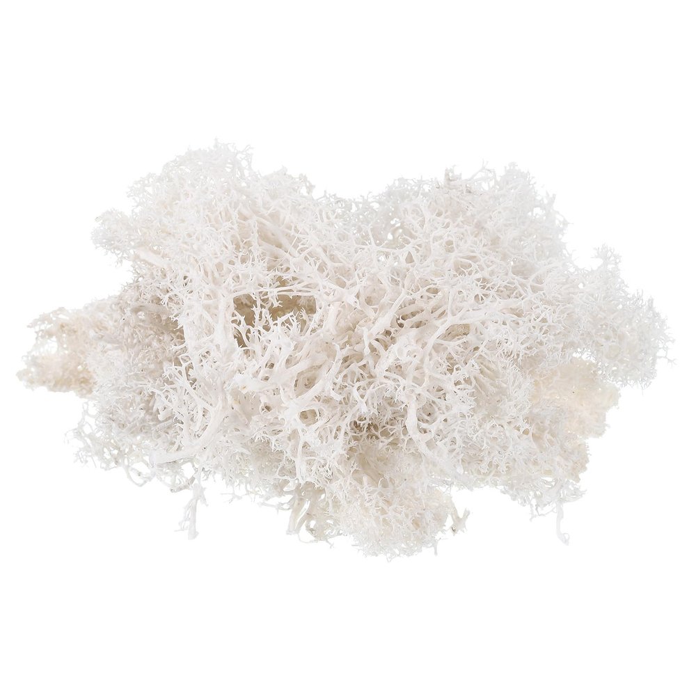 PATIKIL 1.8 OZ Fake Moss, Preserved Reindeer Moss Artificial Moss Lichen Centerpieces Decor Faux Moss for Potted Plants Christmas Craft, White